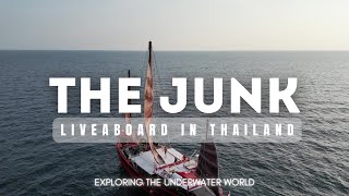 Thailand Liveaboard  The Junk 2024 Diving in Similan and Surin Whale Sharks Corals School of Fish [upl. by Latsirhc]