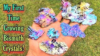 Making Rainbow Bismuth Crystals  Grow Your Own from Scratch  DIY [upl. by Florine]