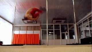 Dima Politov Pole Tricks part1 [upl. by Eellah819]