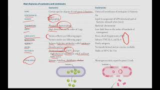 Exotoxins and Endotoxins Bacteria with exotoxins  Microbiology  6  First Aid USMLE in UrduHindi [upl. by Thay]