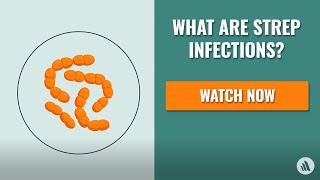 Strep Infections The Causes Symptoms and Diagnosis  Merck Manual Consumer Version Quick Facts [upl. by Meehyr]