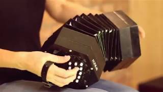 The Wren 2 Concertina [upl. by Eloc627]