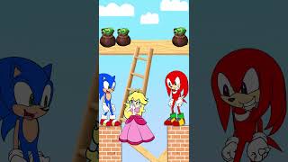 Would you help Sonic did everything to save Pr Peach animation parody sonictoon [upl. by Akirre464]