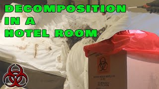 Decomposition in Hotel Dead for Three Weeks [upl. by Aisek377]