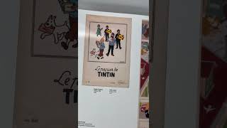 Tintin  Kuifje catalogus Nice expo [upl. by Nuahsed]