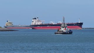 Shipspotting Rotterdam 07 2023 [upl. by Anaicul]