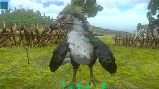 crafting argentavis saddle ark ep 3 [upl. by Niras]