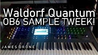 Waldorf Quantum Sampling Demo [upl. by Anuala]