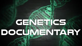 Genetics Crash Course  A Complete Guide to Genetics [upl. by Angid]