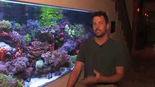 Vivid 400 Gallon Mixed Reef Aquarium 2012 [upl. by Eitsirc]