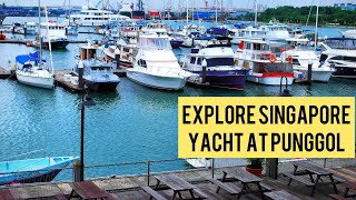 Explore Singapore Yacht at Punggol  Travel Singapore Yacht [upl. by Auguste]