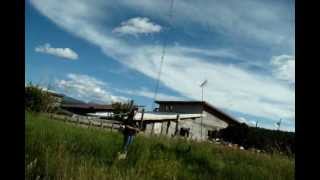 Taos Journal  Hog Farm 60s Hippie Commune [upl. by Kilar]