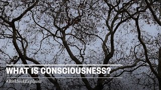 Birkbeck Explains What is consciousness [upl. by Ury51]