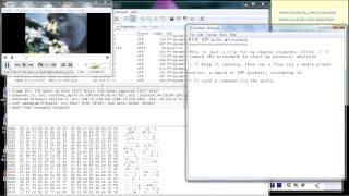 Real Time Streaming Protocol  RTP Analysis using Wireshark [upl. by Jak]