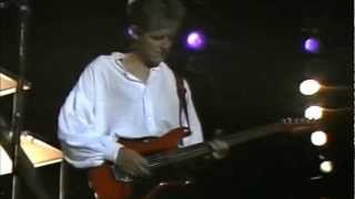 Icehouse  quotCrazyquot Live at The Melbourne Music Show 1988 [upl. by Orimlede]