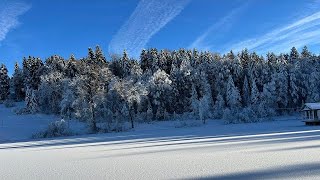 Hoje fui ver este lago congelado St Gallen Schweiz [upl. by Alliber91]