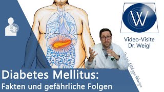 Hab ich Diabetes Mellitus Die berüchtigte Zuckerkrankheit einfach erklärt amp Tipps bei Insulinmangel [upl. by Reiss500]