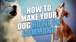 How to Make a Dog Howl On Command [upl. by Nicholas]