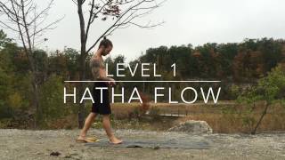 Level 1  QuickPaced Hatha Flow Free Yoga Classes with Daniel Rama [upl. by Adnahsam]