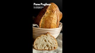 Pane Pugliese  Italienisches Brot mit Lievito Madre shorttipsandtricks shortrecipe lievitomadre [upl. by Mairym]