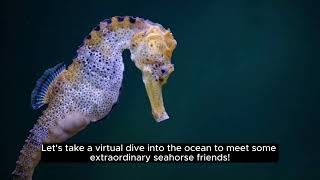 Seahorse Wonders Dive into a Magical Underwater Adventure for Kids [upl. by Kondon]