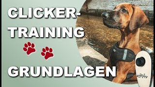 Clickertraining 2021  Hund Grundkommandos und Tricks beibringen  Grundlagen [upl. by Sophy104]