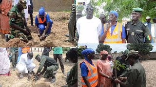 Kaolack  la Senelec en partenariat avec les eaux et forêts plantent plus de 40 arbres à Ndoffane [upl. by Ailedua]