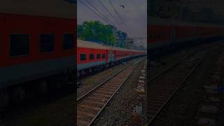 Amritsar express 11057 capture in CSMT travel train shorts trending [upl. by Irolav]