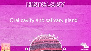 L 1 Lips Tongue and salivary glands Histology [upl. by Nivlag129]