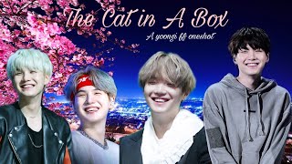 The Cat in A Box  Yoongi ff oneshot  1k special [upl. by Adnolor751]