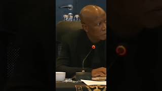 Malema vs Judge Ncube  The Showdown [upl. by Anahahs120]