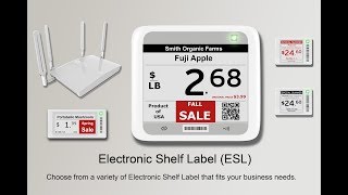 Electronic Shelf Label  ESL  for Retail Business  Presented by ARKSCANCOM [upl. by Crofoot431]