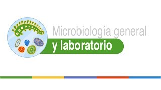 Normas de bioseguridad y equipos en un laboratorio de Microbiología Parte 2 [upl. by Myrna]