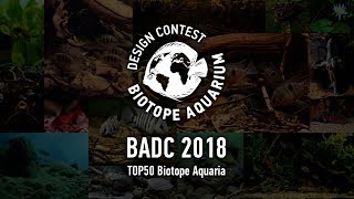 TOP50 Biotope Aquarium Design Contest BADC2018 [upl. by Adnilahs]