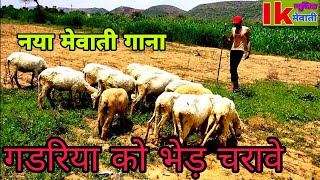 नया गडरिया का भेड चरावे new song gadariya ka mewati [upl. by Ric]