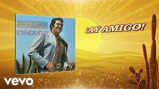 Vicente Fernández  ¡Ay Amigo Cover Audio [upl. by Mallissa]