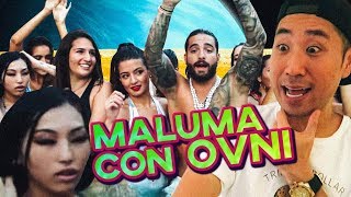 MALUMA MALA MÍA VOLVIÓ COREANO LOCO [upl. by Yelrihs282]