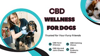 CBD Wellness For Dogs [upl. by Silvan178]