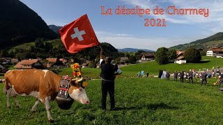 La désalpe de Charmey 2021  Canton de Fribourg  Suisse [upl. by Henrieta]