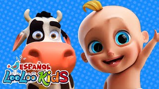 🐮La Vaca Lola 🐄 y muchas más canciones infantiles  LooLoo Kids Español [upl. by Cullie706]