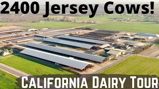 2400 Jerseys on This Beautiful California Dairy Farm [upl. by Gaylene345]