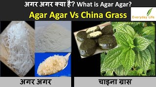 Agar Agar Vs China Grass  अगर अगर और चाइना ग्रास में अन्तर क्या है  AgarFAQ  Everyday Life107 [upl. by Arva]