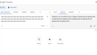 OwO Google Translate Does an UwU [upl. by Rezeile]