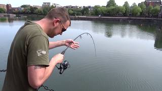 Stalking carp in London Docks pt2 [upl. by Lenwood]