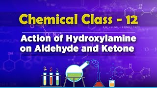 Action of Hydroxylamine on Aldehyde and Ketone  Aldehydes Ketones and Carboxylic Acids [upl. by Nnylirret]