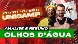 Vestibular UNICAMP  Análise e resumo de Olhos dágua de Conceição Evaristo [upl. by Ailemaj]