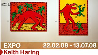 Keith Haring au musée dart contemporain de Lyon [upl. by Hannej]