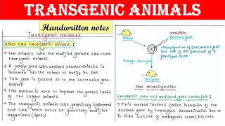 Mouse Genotyping [upl. by Zantos869]