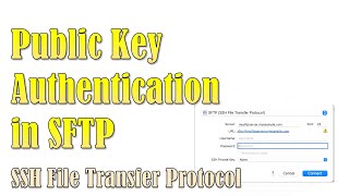 Using Public Key Infrastructure for Authentication Public key authentication in SFTP SSH  FTP [upl. by Izy]