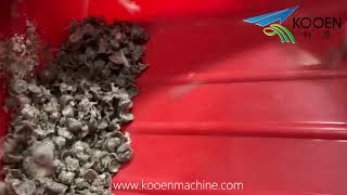 PE squeezer machine LDPE plastic film flakes squeezing machine [upl. by Konopka]